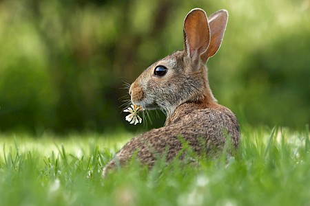 Unsere Osterangebote
